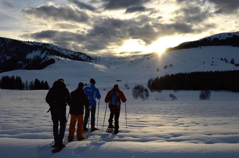 Eirl Dolomites Retreat Sappada Bed & Breakfast Екстериор снимка
